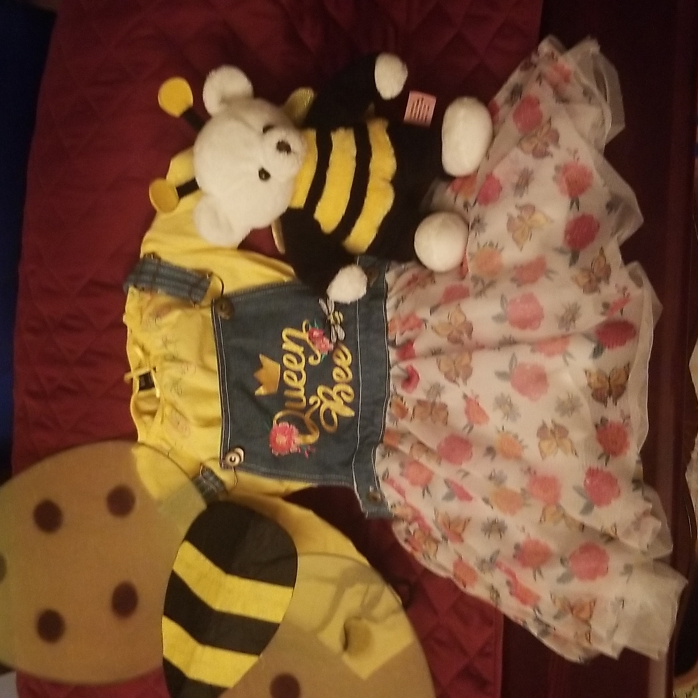 "QUEEN BEE" Dress, blouse, wings, plushie and head antennae!